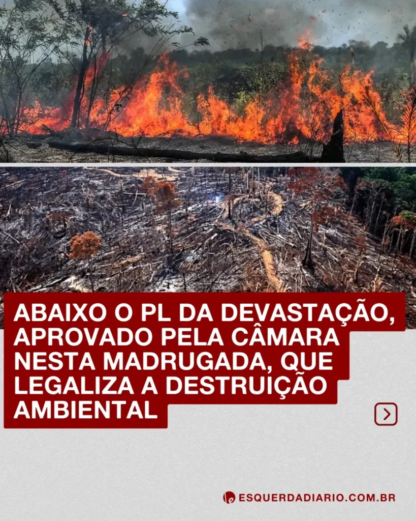 SE O PL DA DEVASTAÇÃO FOR SANCIONADO, ADEUS PRESERVAÇÃO! – CPT – Minas ...